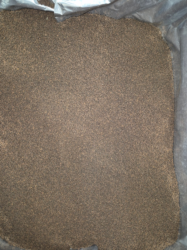 چای ساقدوش کله مورچه عطری کنیا
