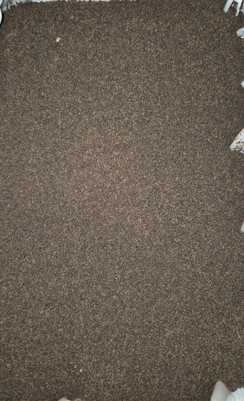 چای ساقدوش کله مورچه کنیا