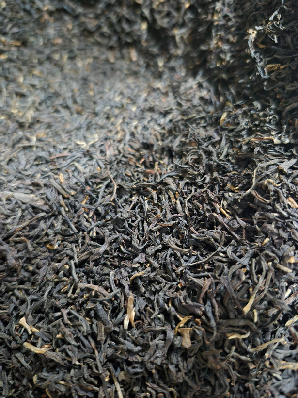 چای تئودور مشکی شکسته سیلان